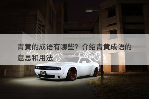青黄的成语有哪些？介绍青黄成语的意思和用法