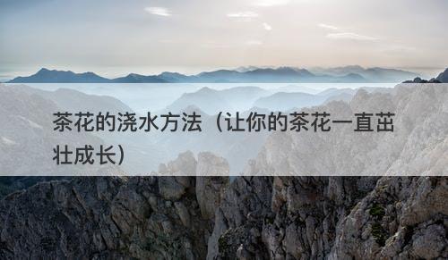 茶花的浇水方法（让你的茶花一直茁壮成长）