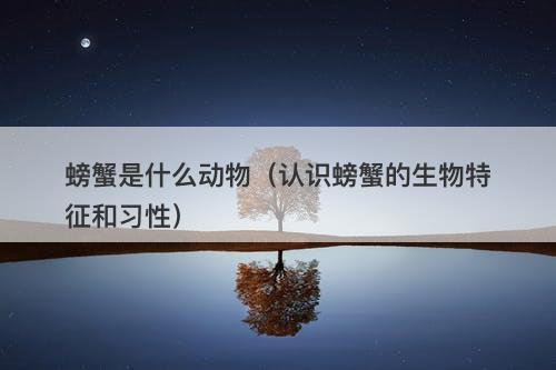螃蟹是什么动物（认识螃蟹的生物特征和习性）