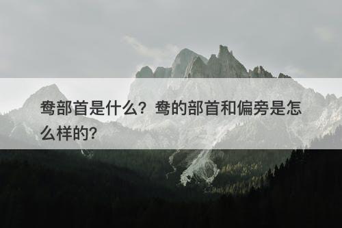 鸯部首是什么？鸯的部首和偏旁是怎么样的？