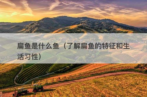扁鱼是什么鱼（了解扁鱼的特征和生活习性）