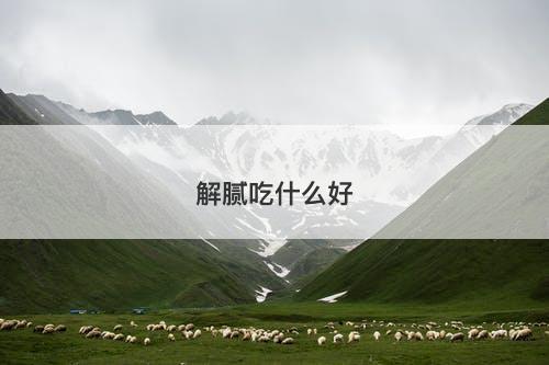 解腻吃什么好
