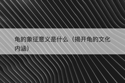 龟的象征意义是什么（揭开龟的文化内涵）