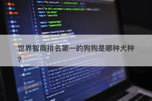 世界智商排名第一的狗狗是哪种犬种？