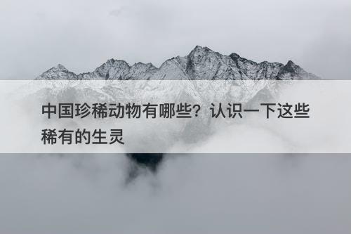中国珍稀动物有哪些？认识一下这些稀有的生灵