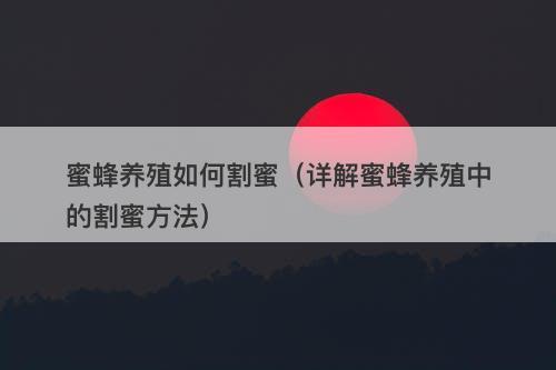 蜜蜂养殖如何割蜜（详解蜜蜂养殖中的割蜜方法）