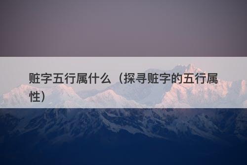 赃字五行属什么（探寻赃字的五行属性）