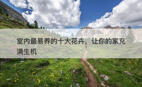 室内最易养的十大花卉，让你的家充满生机