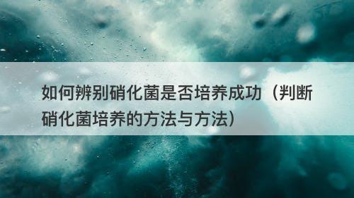 如何辨别硝化菌是否培养成功（判断硝化菌培养的方法与方法）
