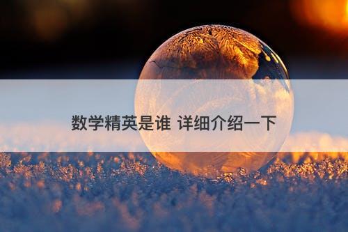 数学精英是谁 详细介绍一下