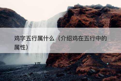 鸡字五行属什么（介绍鸡在五行中的属性）