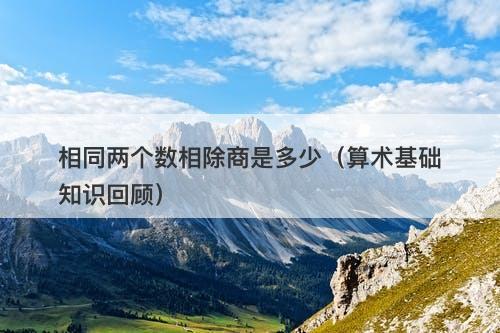 相同两个数相除商是多少（算术基础知识回顾）