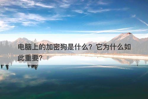 电脑上的加密狗是什么？它为什么如此重要？