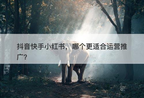 抖音快手小红书，哪个更适合运营推广？