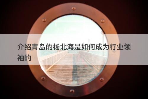 介绍青岛的杨北海是如何成为行业领袖的