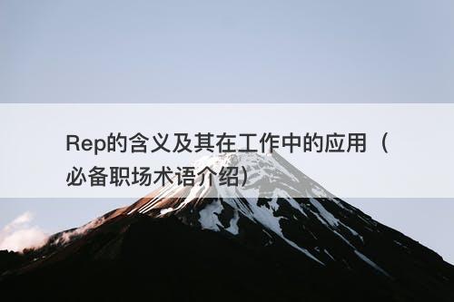 Rep的含义及其在工作中的应用（必备职场术语介绍）