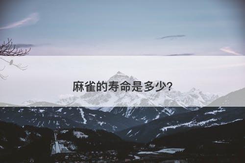 麻雀的寿命是多少？
