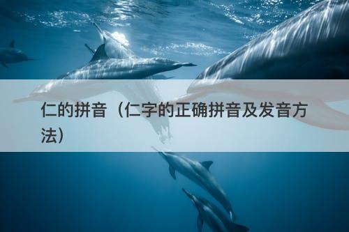 仁的拼音（仁字的正确拼音及发音方法）