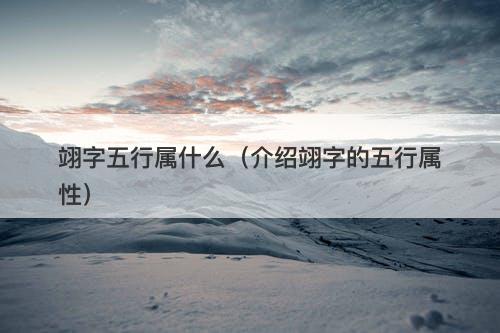 翊字五行属什么（介绍翊字的五行属性）