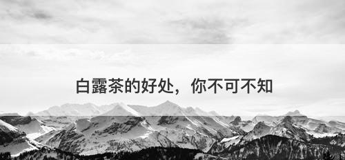 白露茶的好处，你不可不知