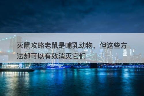 灭鼠攻略老鼠是哺乳动物，但这些方法却可以有效消灭它们