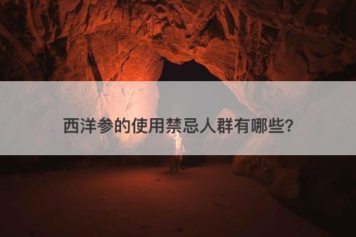 西洋参的使用禁忌人群有哪些？