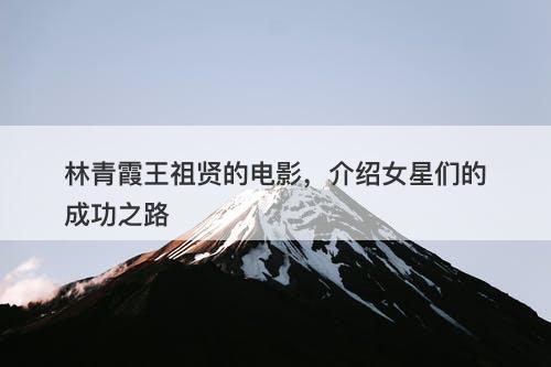 林青霞王祖贤的电影，介绍女星们的成功之路