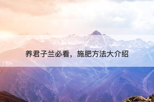 养君子兰必看，施肥方法大介绍
