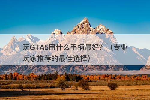 玩GTA5用什么手柄最好？（专业玩家推荐的最佳选择）