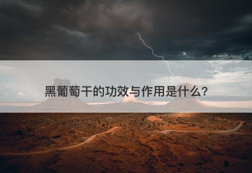 黑葡萄干的功效与作用是什么？