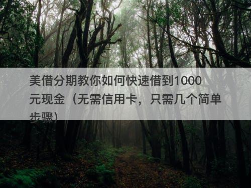 美借分期教你如何快速借到1000元现金（无需信用卡，只需几个简单步骤）