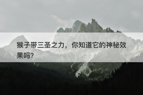 猴子带三圣之力，你知道它的神秘效果吗？