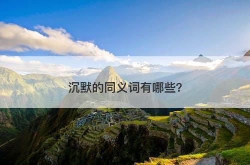 沉默的同义词有哪些？