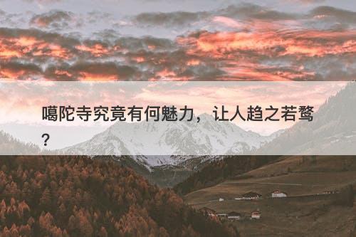 噶陀寺究竟有何魅力，让人趋之若鹜？
