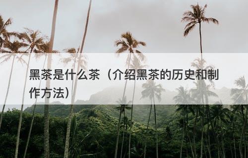 黑茶是什么茶（介绍黑茶的历史和制作方法）