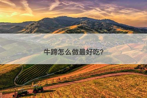 牛蹄怎么做最好吃？