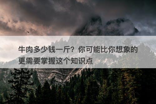 牛肉多少钱一斤？你可能比你想象的更需要掌握这个知识点
