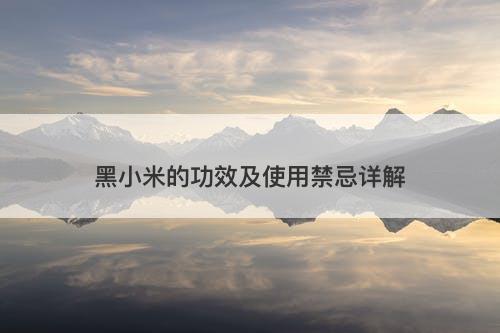 黑小米的功效及使用禁忌详解