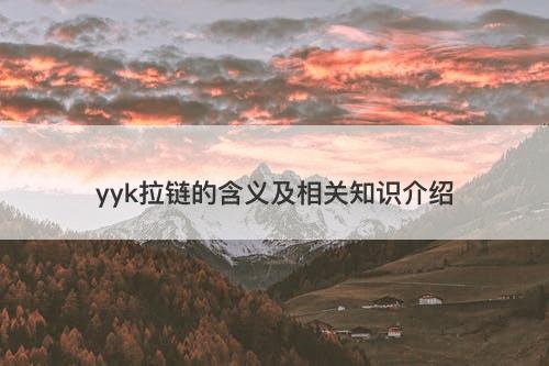 yyk拉链的含义及相关知识介绍
