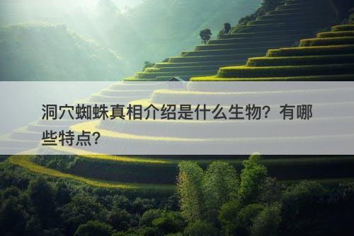 洞穴蜘蛛真相介绍是什么生物？有哪些特点？