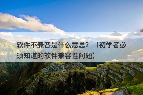 软件不兼容是什么意思？（初学者必须知道的软件兼容性问题）