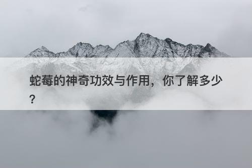 蛇莓的神奇功效与作用，你了解多少？