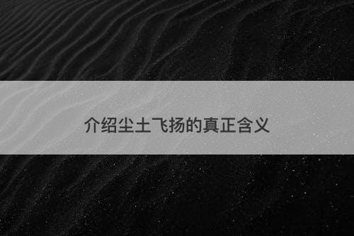 介绍尘土飞扬的真正含义