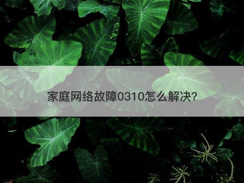 家庭网络故障0310怎么解决？