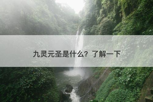 九灵元圣是什么？了解一下