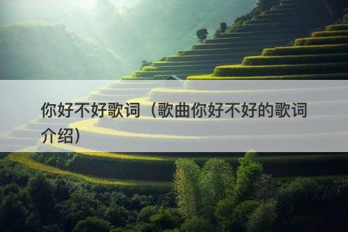 你好不好歌词（歌曲你好不好的歌词介绍）