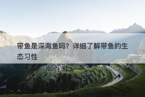 带鱼是深海鱼吗？详细了解带鱼的生态习性