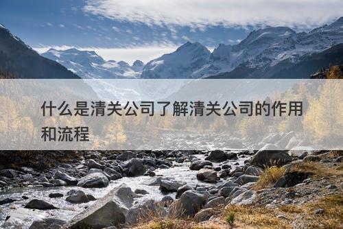 什么是清关公司了解清关公司的作用和流程