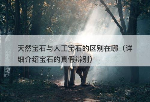 天然宝石与人工宝石的区别在哪（详细介绍宝石的真假辨别）