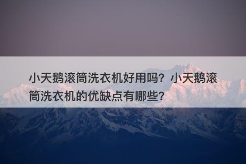小天鹅滚筒洗衣机好用吗？小天鹅滚筒洗衣机的优缺点有哪些？